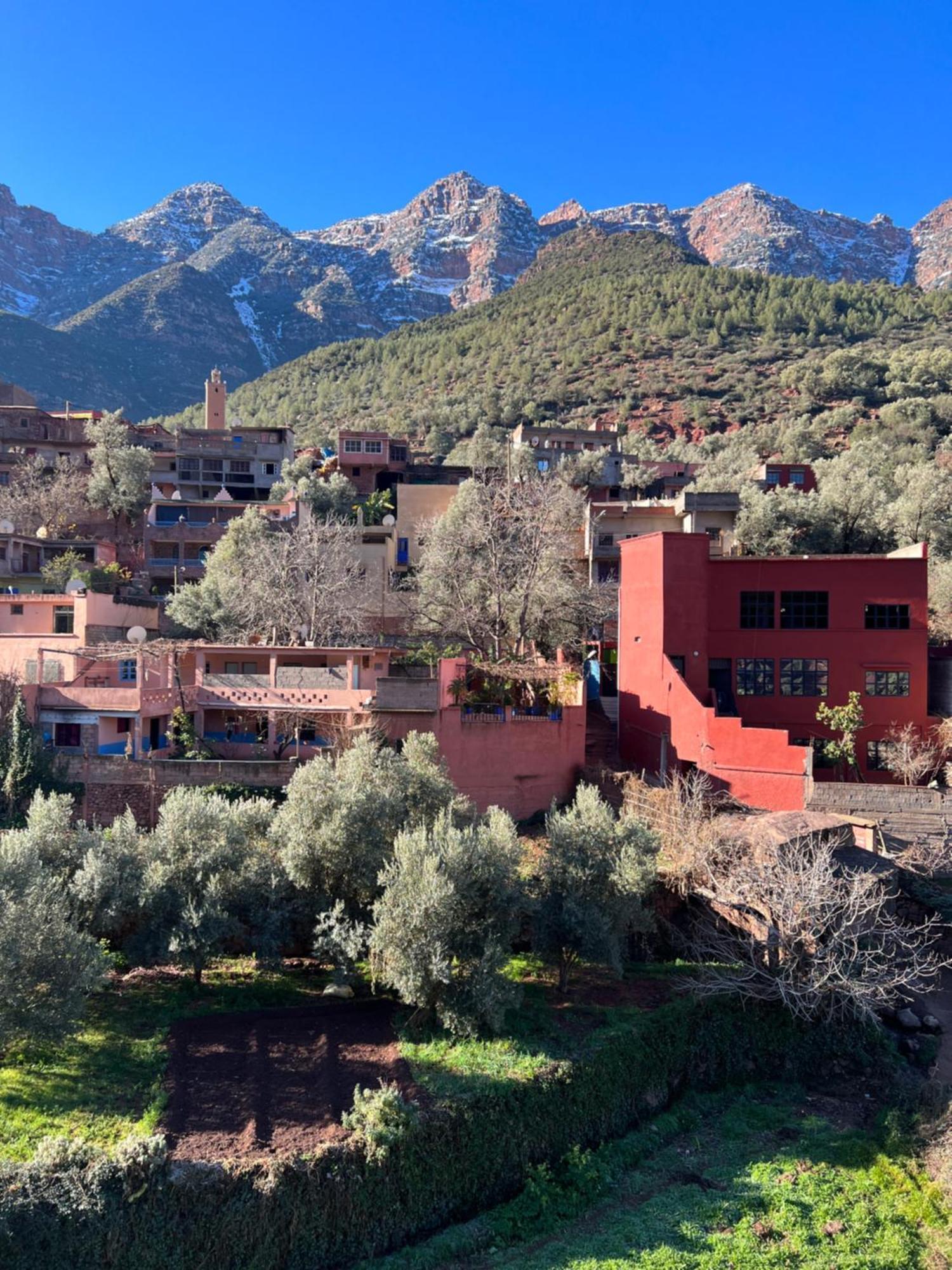 Tazart Lodge Marrakesh Exterior foto